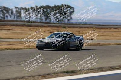 media/Nov-16-2024-CalClub SCCA (Sat) [[641f3b2761]]/Group 6/Grid and Front Straight/
